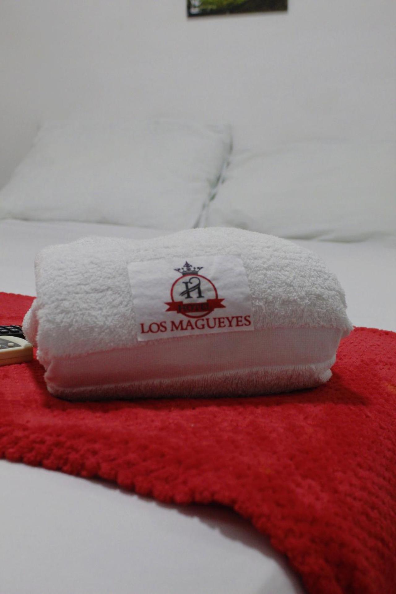 Hotel Los Magueyes Bucaramanga Buitenkant foto